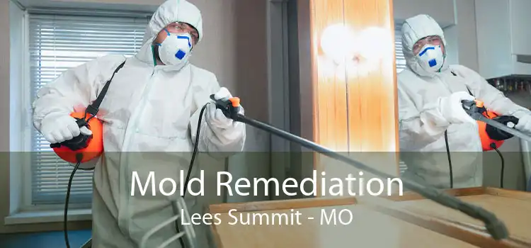 Mold Remediation Lees Summit - MO