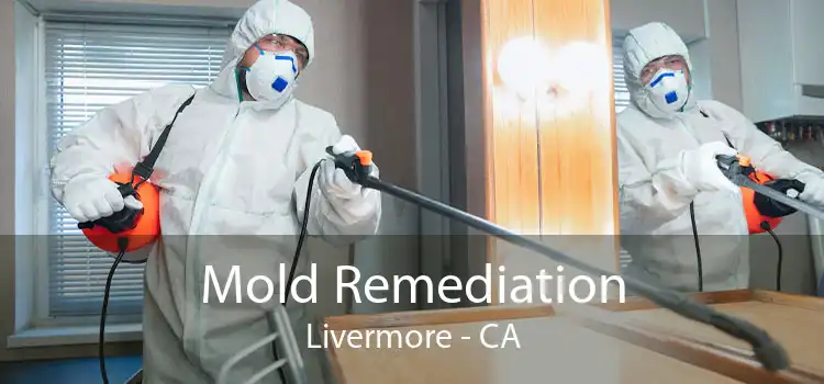 Mold Remediation Livermore - CA