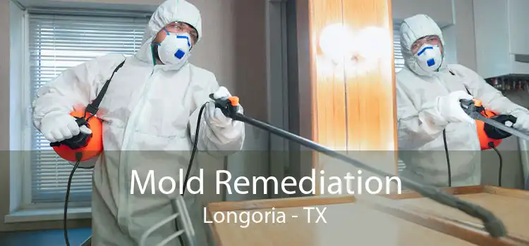 Mold Remediation Longoria - TX