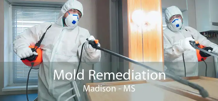 Mold Remediation Madison - MS