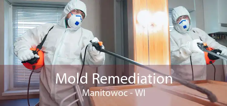 Mold Remediation Manitowoc - WI