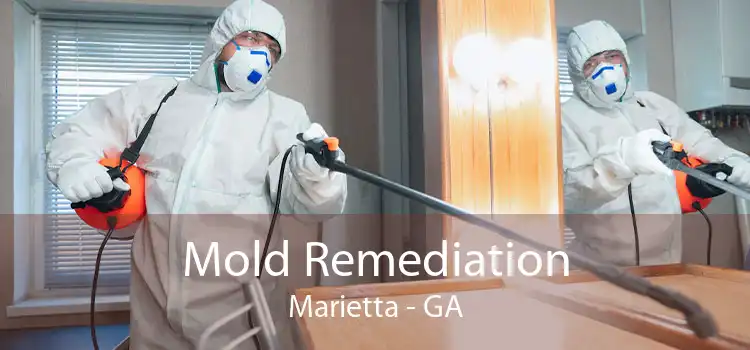 Mold Remediation Marietta - GA