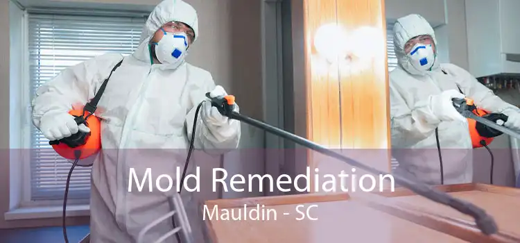 Mold Remediation Mauldin - SC