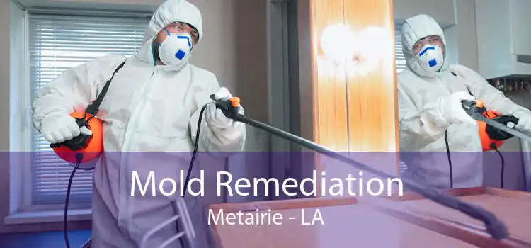 Mold Remediation Metairie - LA