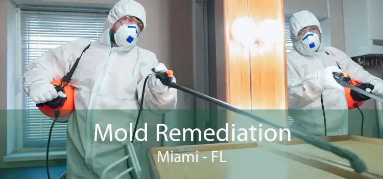 Mold Remediation Miami - FL