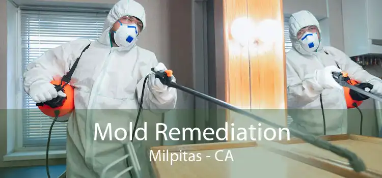 Mold Remediation Milpitas - CA