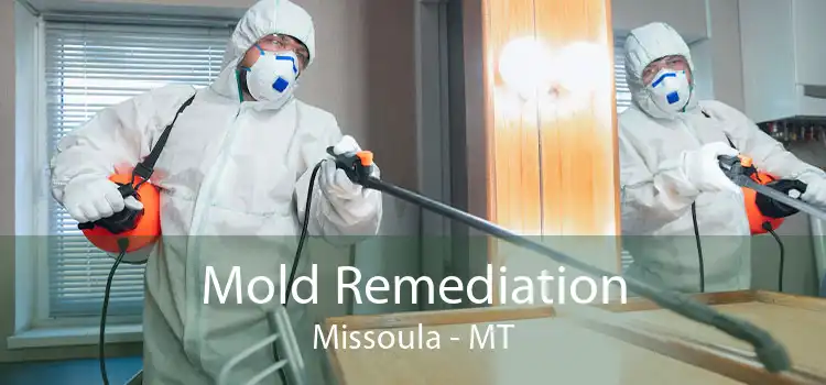 Mold Remediation Missoula - MT