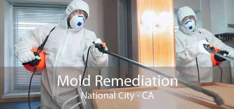 Mold Remediation National City - CA