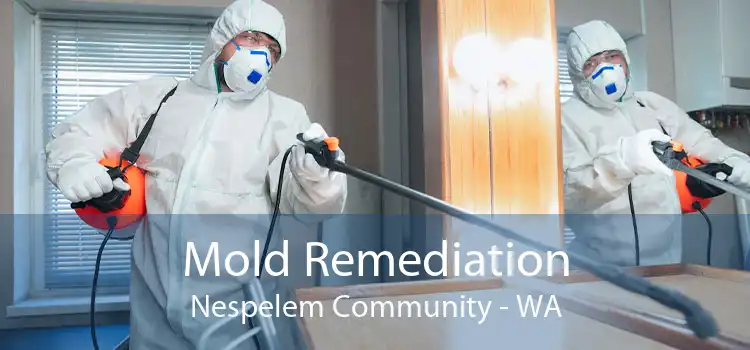 Mold Remediation Nespelem Community - WA