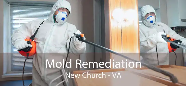 Mold Remediation New Church - VA