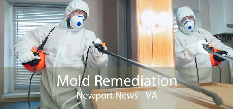 Mold Remediation Newport News - VA