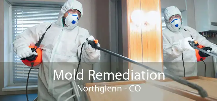 Mold Remediation Northglenn - CO
