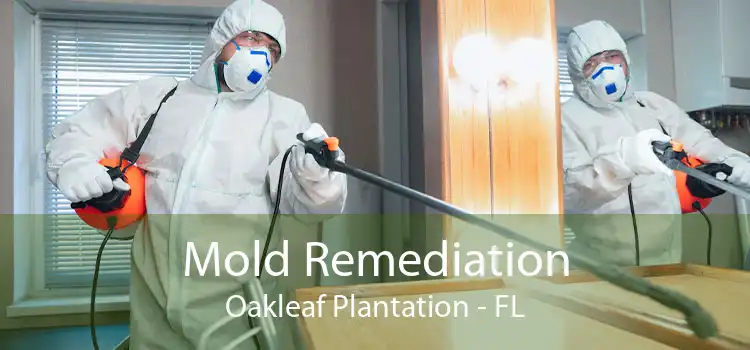 Mold Remediation Oakleaf Plantation - FL