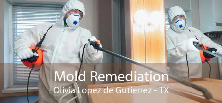 Mold Remediation Olivia Lopez de Gutierrez - TX