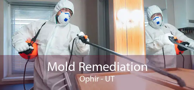 Mold Remediation Ophir - UT