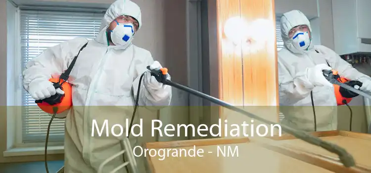 Mold Remediation Orogrande - NM