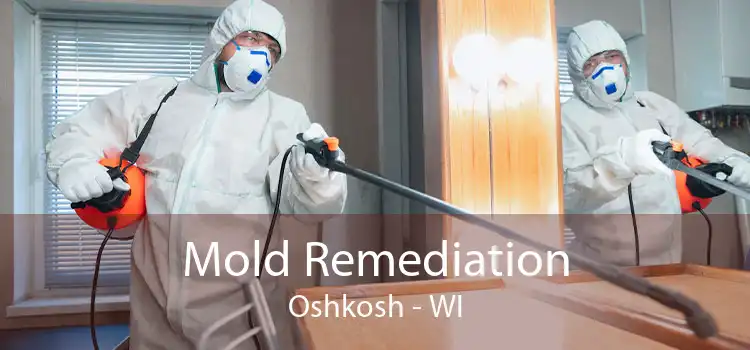 Mold Remediation Oshkosh - WI