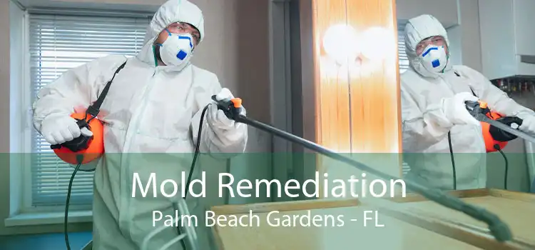 Mold Remediation Palm Beach Gardens - FL