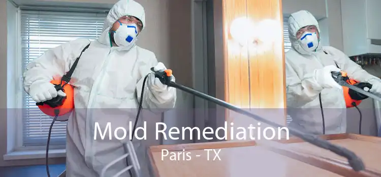 Mold Remediation Paris - TX
