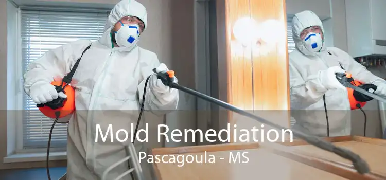 Mold Remediation Pascagoula - MS