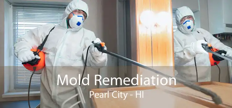 Mold Remediation Pearl City - HI