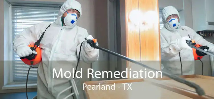 Mold Remediation Pearland - TX