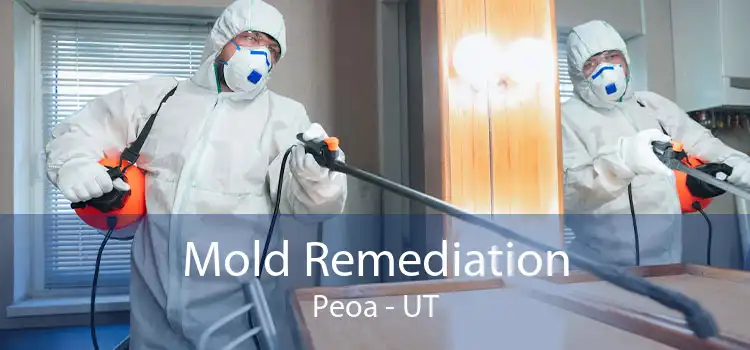Mold Remediation Peoa - UT