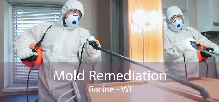 Mold Remediation Racine - WI