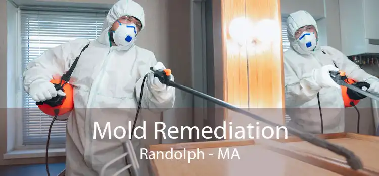 Mold Remediation Randolph - MA
