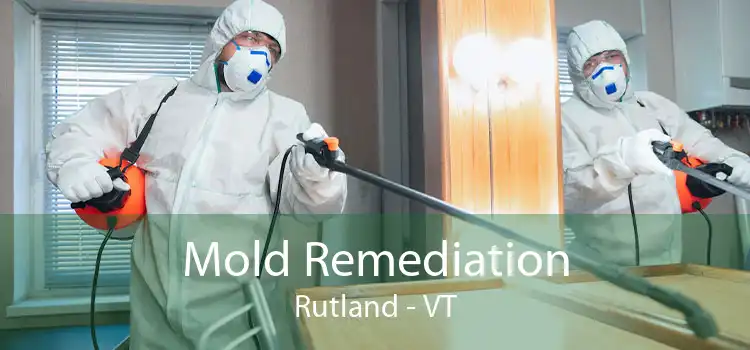 Mold Remediation Rutland - VT