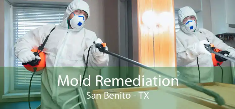 Mold Remediation San Benito - TX