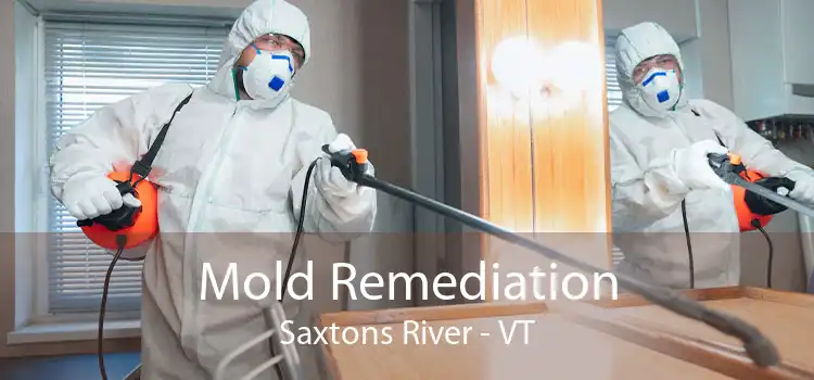 Mold Remediation Saxtons River - VT