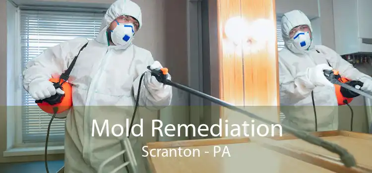 Mold Remediation Scranton - PA