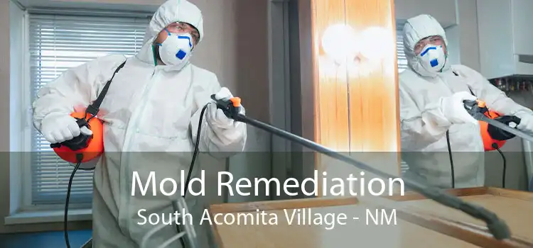 Mold Remediation South Acomita Village - NM