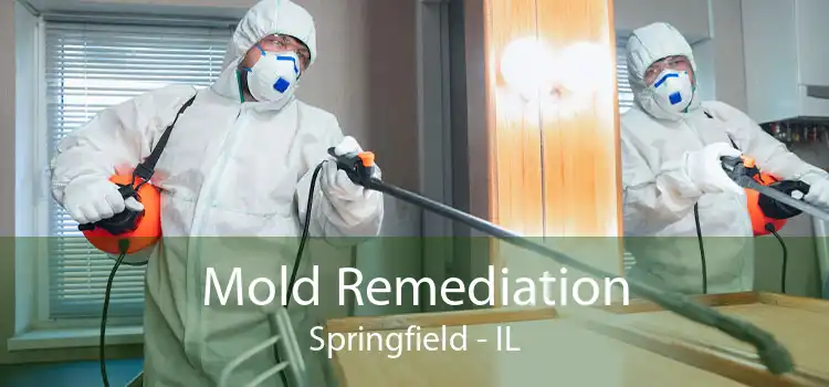 Mold Remediation Springfield - IL