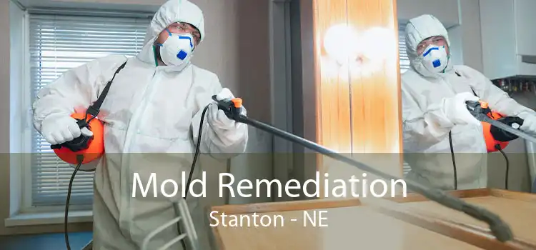 Mold Remediation Stanton - NE