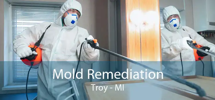Mold Remediation Troy - MI