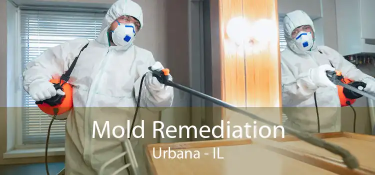 Mold Remediation Urbana - IL