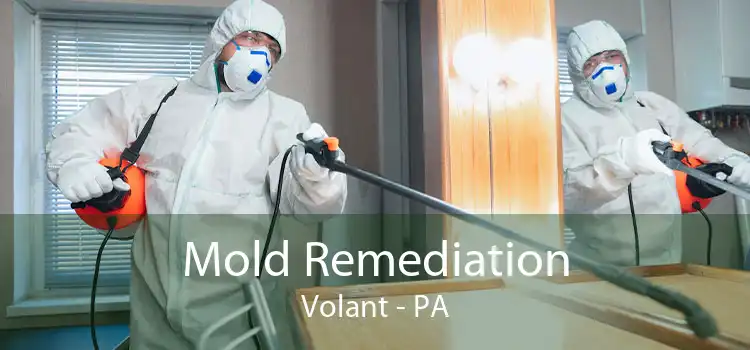 Mold Remediation Volant - PA