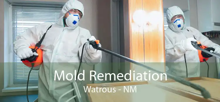 Mold Remediation Watrous - NM