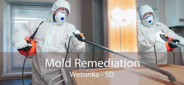 Mold Remediation Wetonka - SD