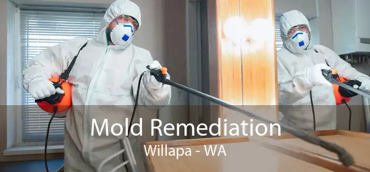 Mold Remediation Willapa - WA