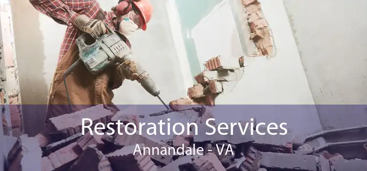 Restoration Services Annandale - VA