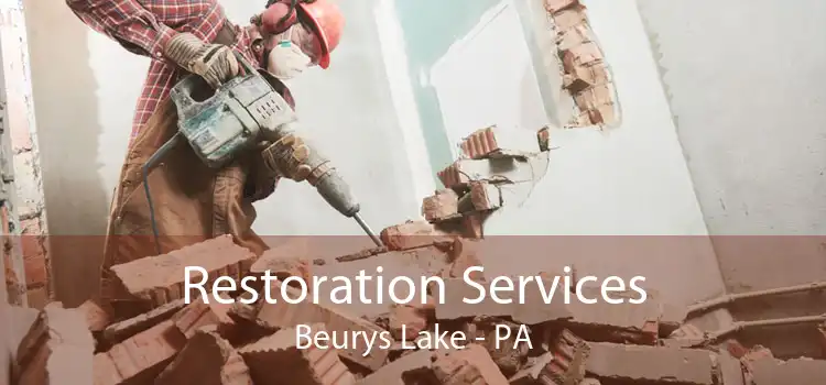  Restoration Services Beurys Lake - PA