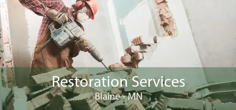 Restoration Services Blaine - MN