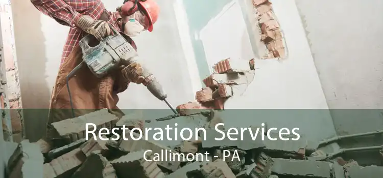  Restoration Services Callimont - PA
