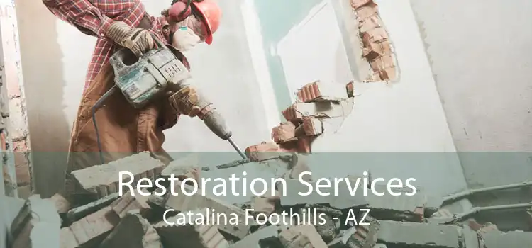 Restoration Services Catalina Foothills - AZ