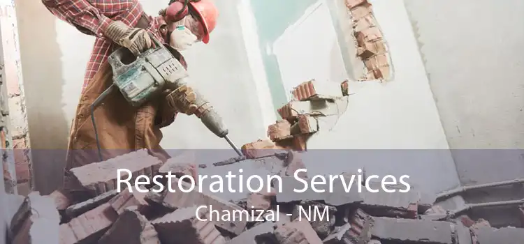 Restoration Services Chamizal - NM