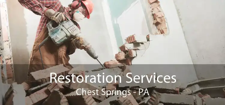  Restoration Services Chest Springs - PA