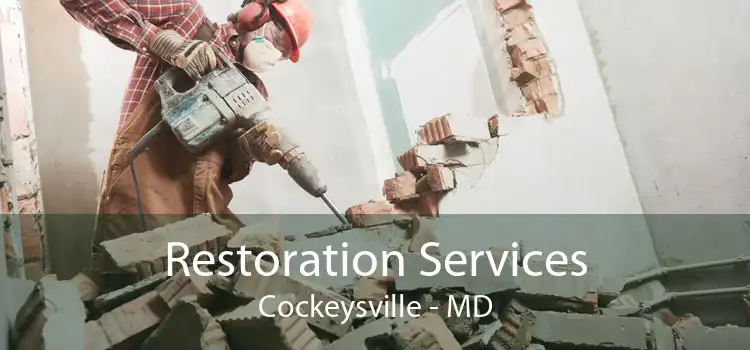 Restoration Services Cockeysville - MD